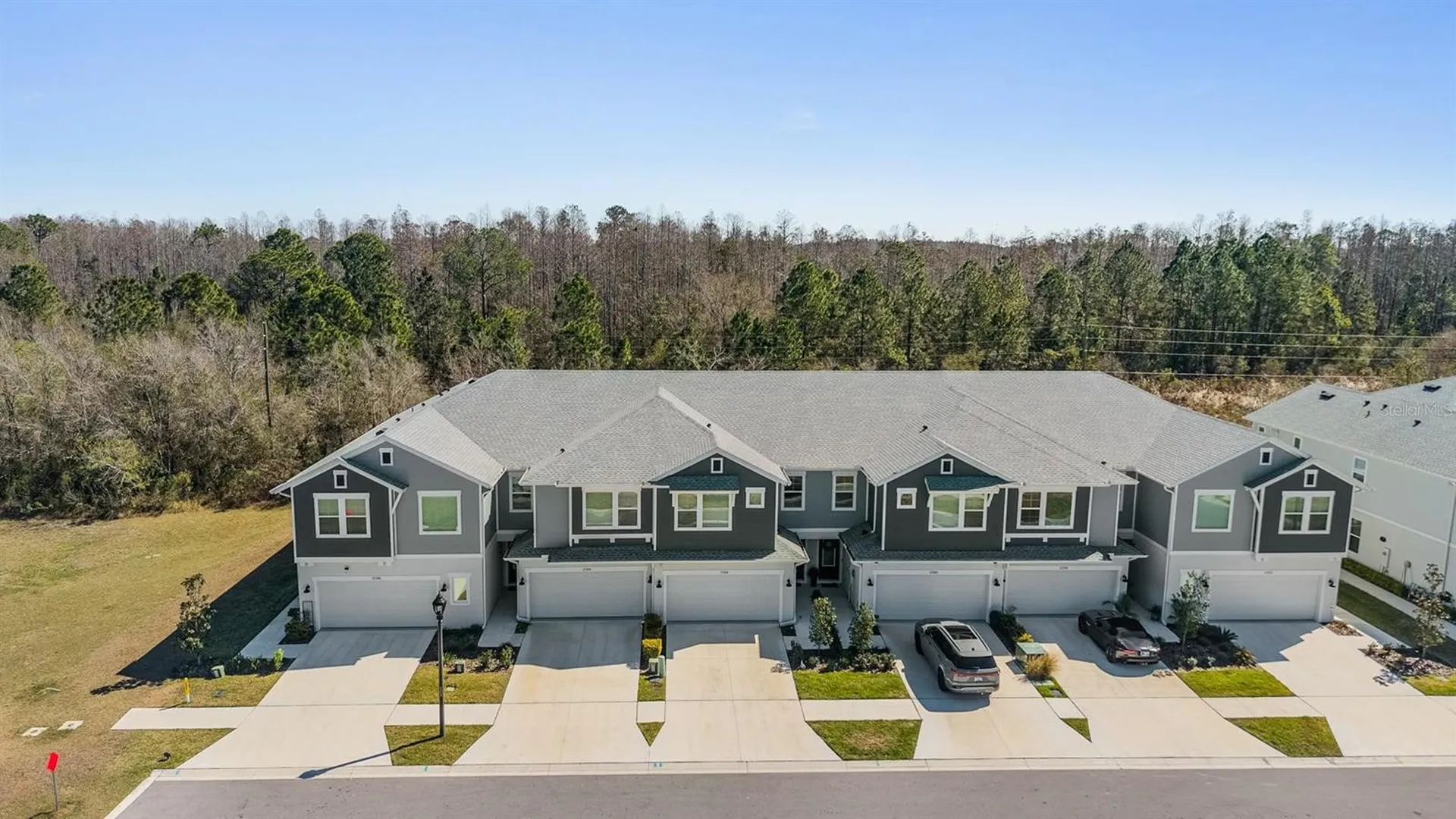 17288 Balance Cove Land O Lakes FL 34638