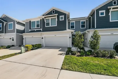 17288 Balance Cove Land O Lakes FL 34638