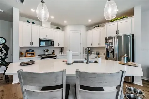 17288 Balance Cove Land O Lakes FL 34638