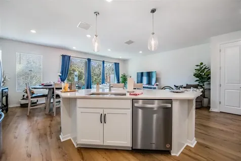 17288 Balance Cove Land O Lakes FL 34638