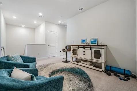 17288 Balance Cove Land O Lakes FL 34638
