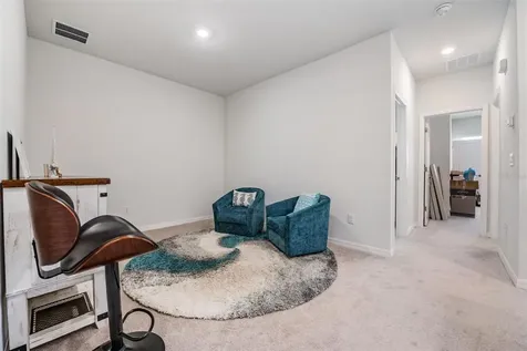17288 Balance Cove Land O Lakes FL 34638