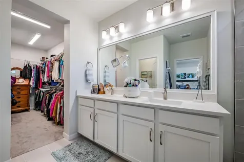 17288 Balance Cove Land O Lakes FL 34638
