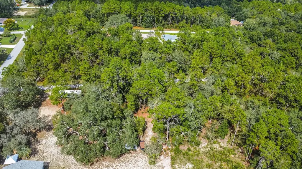 3210 E Michael Street Inverness FL 34453