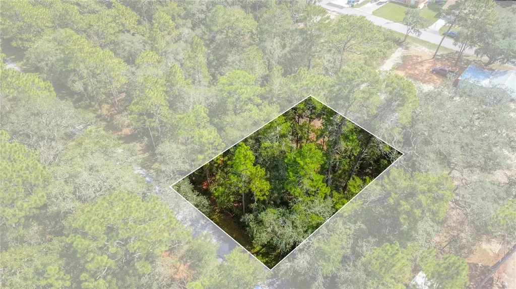 3210 E Michael Street Inverness FL 34453