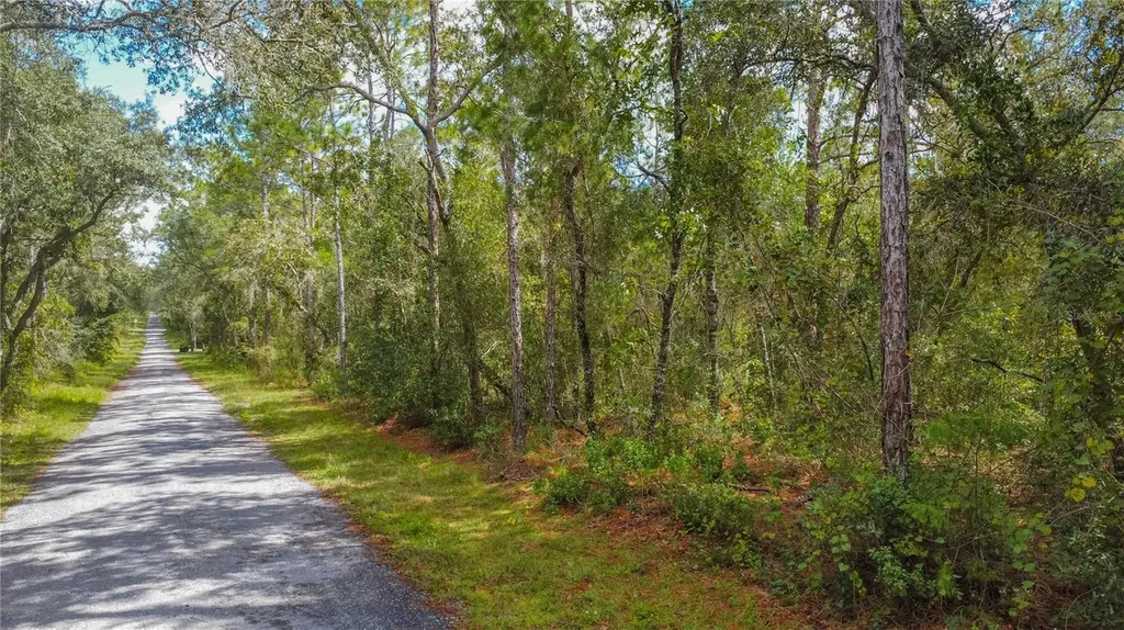 3210 E Michael Street Inverness FL 34453