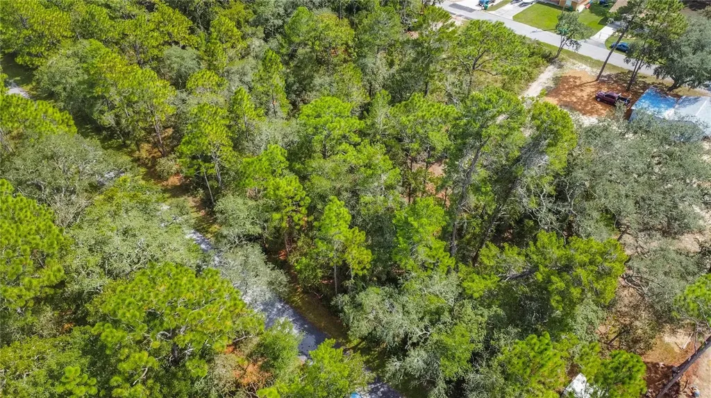 3210 E Michael Street Inverness FL 34453