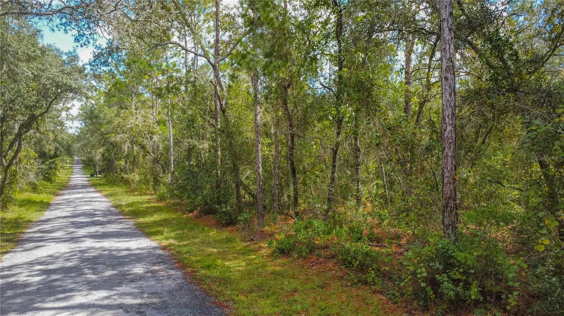 3210 E Michael Street Inverness FL 34453