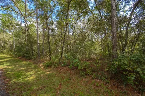 3210 E Michael Street Inverness FL 34453