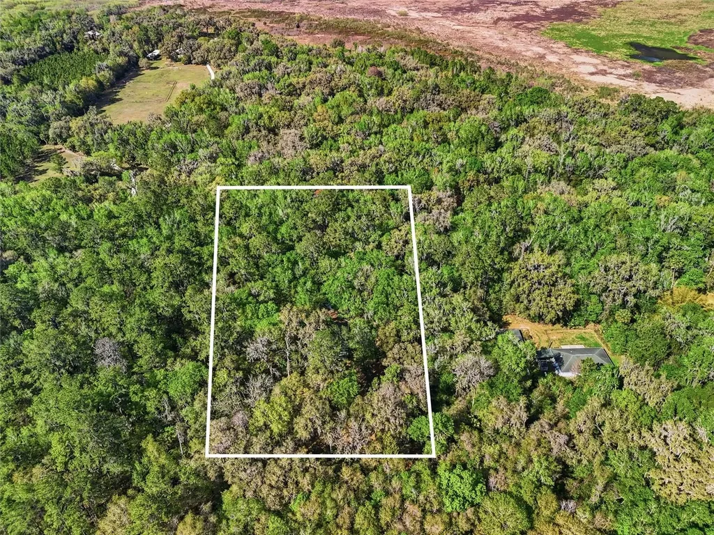 8856 NW 230th Street Micanopy FL 32667