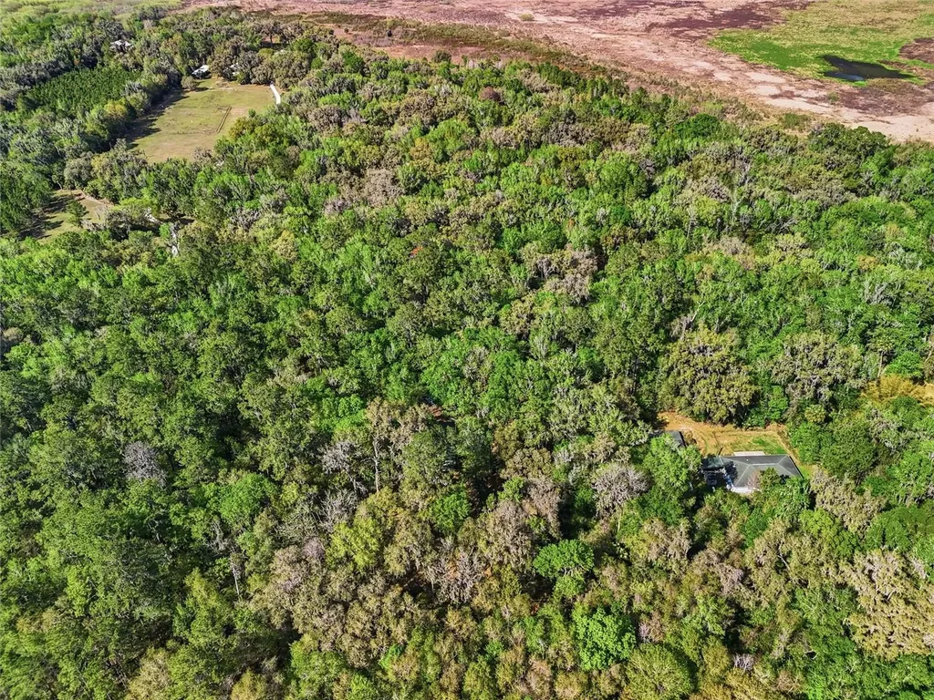8856 NW 230th Street Micanopy FL 32667