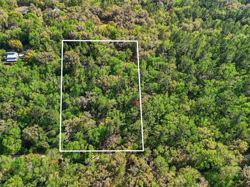 8856 NW 230th Street Micanopy FL 32667