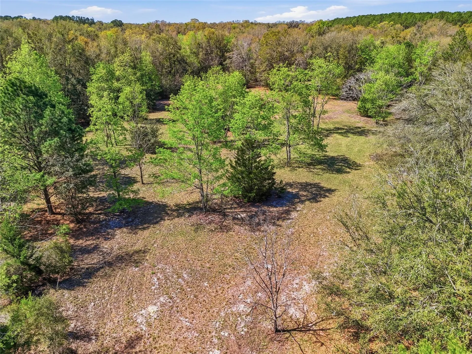 6615 NW County Road 235 Alachua FL 32615