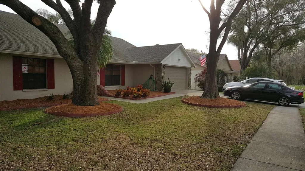 15005 Redcliff Drive Tampa FL 33625