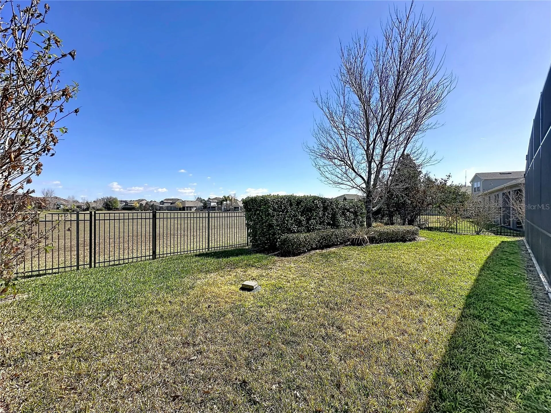 16232 Rock Coast Drive Winter Garden FL 34787