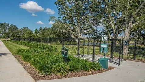 16232 Rock Coast Drive Winter Garden FL 34787