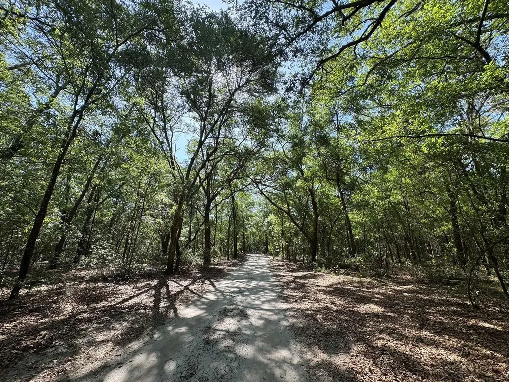 6970 NE 74th Street Gainesville FL 32609