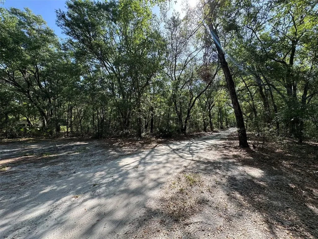 6970 NE 74th Street Gainesville FL 32609