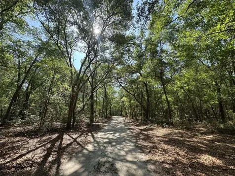 6970 NE 74th Street Gainesville FL 32609