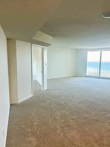 2611 Bayshore Boulevard Tampa FL 33629