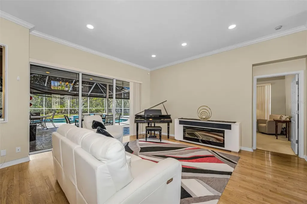 1151 Arlinbrook Drive Trinity FL 34655