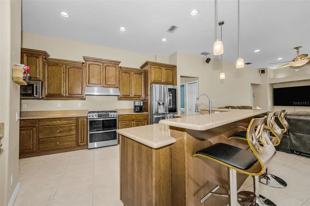 1151 Arlinbrook Drive Trinity FL 34655