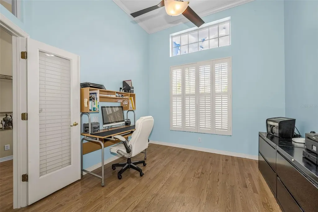 1151 Arlinbrook Drive Trinity FL 34655