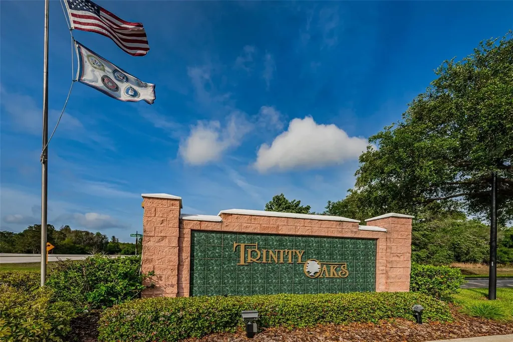 1151 Arlinbrook Drive Trinity FL 34655