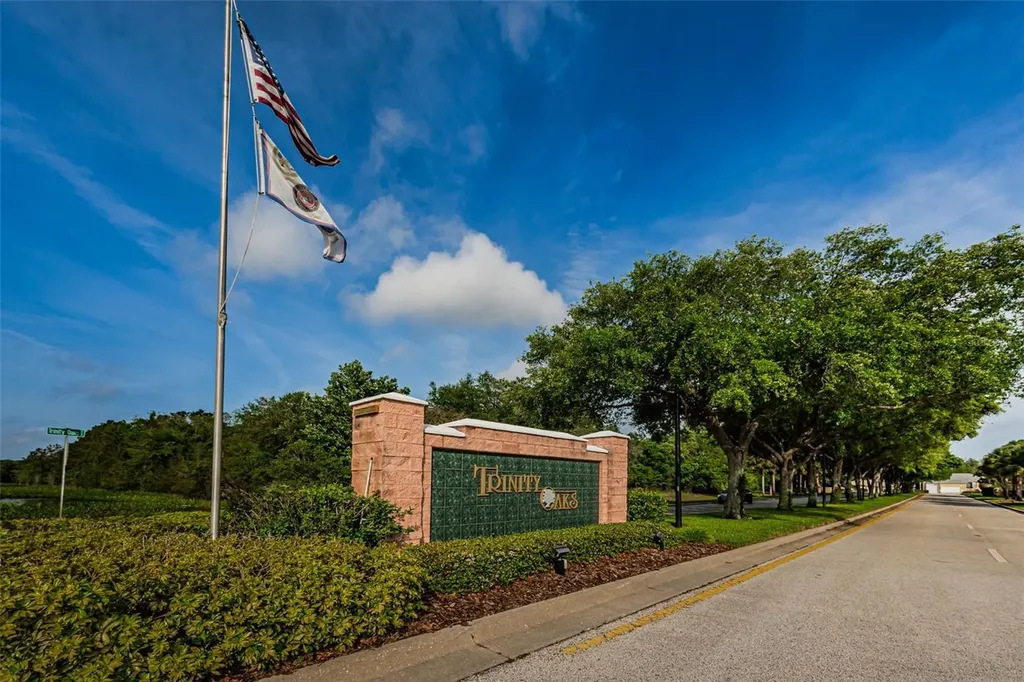 1151 Arlinbrook Drive Trinity FL 34655