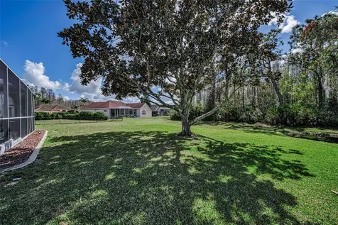 1151 Arlinbrook Drive Trinity FL 34655
