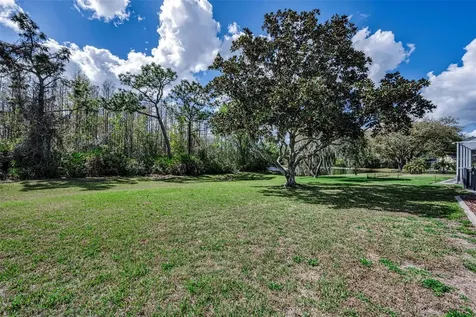 1151 Arlinbrook Drive Trinity FL 34655