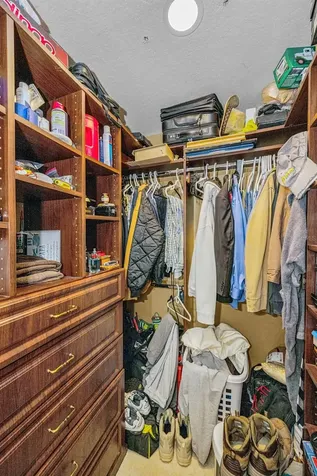 1151 Arlinbrook Drive Trinity FL 34655