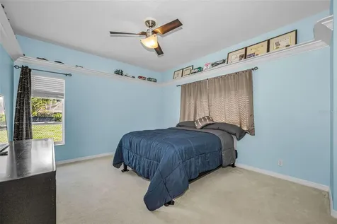 1151 Arlinbrook Drive Trinity FL 34655
