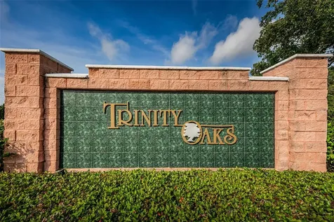 1151 Arlinbrook Drive Trinity FL 34655