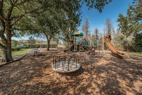 1151 Arlinbrook Drive Trinity FL 34655