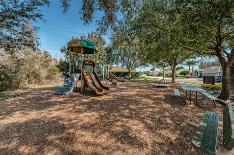 1151 Arlinbrook Drive Trinity FL 34655