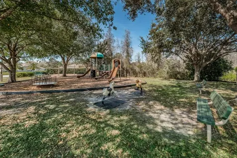 1151 Arlinbrook Drive Trinity FL 34655