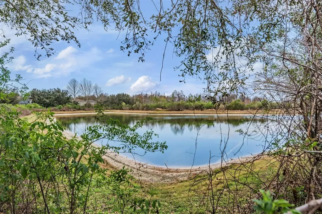 10047 Landport Way Land O Lakes FL 34638