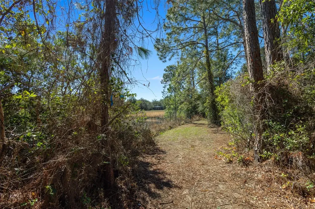 18434 SE 24th Street Silver Springs FL 34488