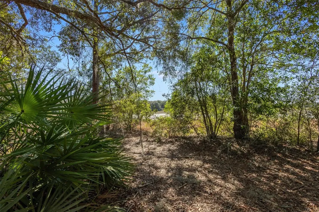 18434 SE 24th Street Silver Springs FL 34488