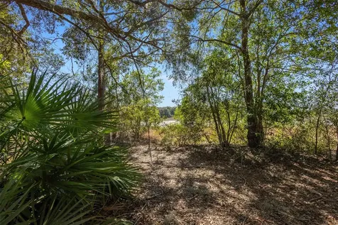 18434 SE 24th Street Silver Springs FL 34488