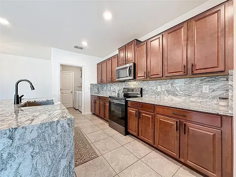 12728 Lemon Pepper Drive Riverview FL 33578