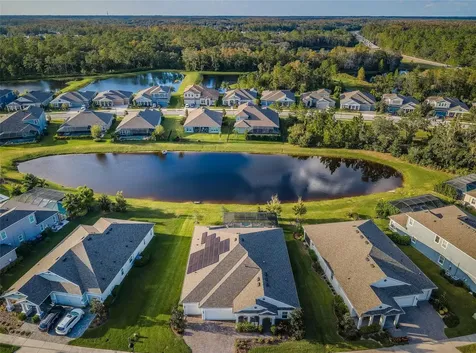 4197 Glade Wood Loop New Port Richey FL 34655