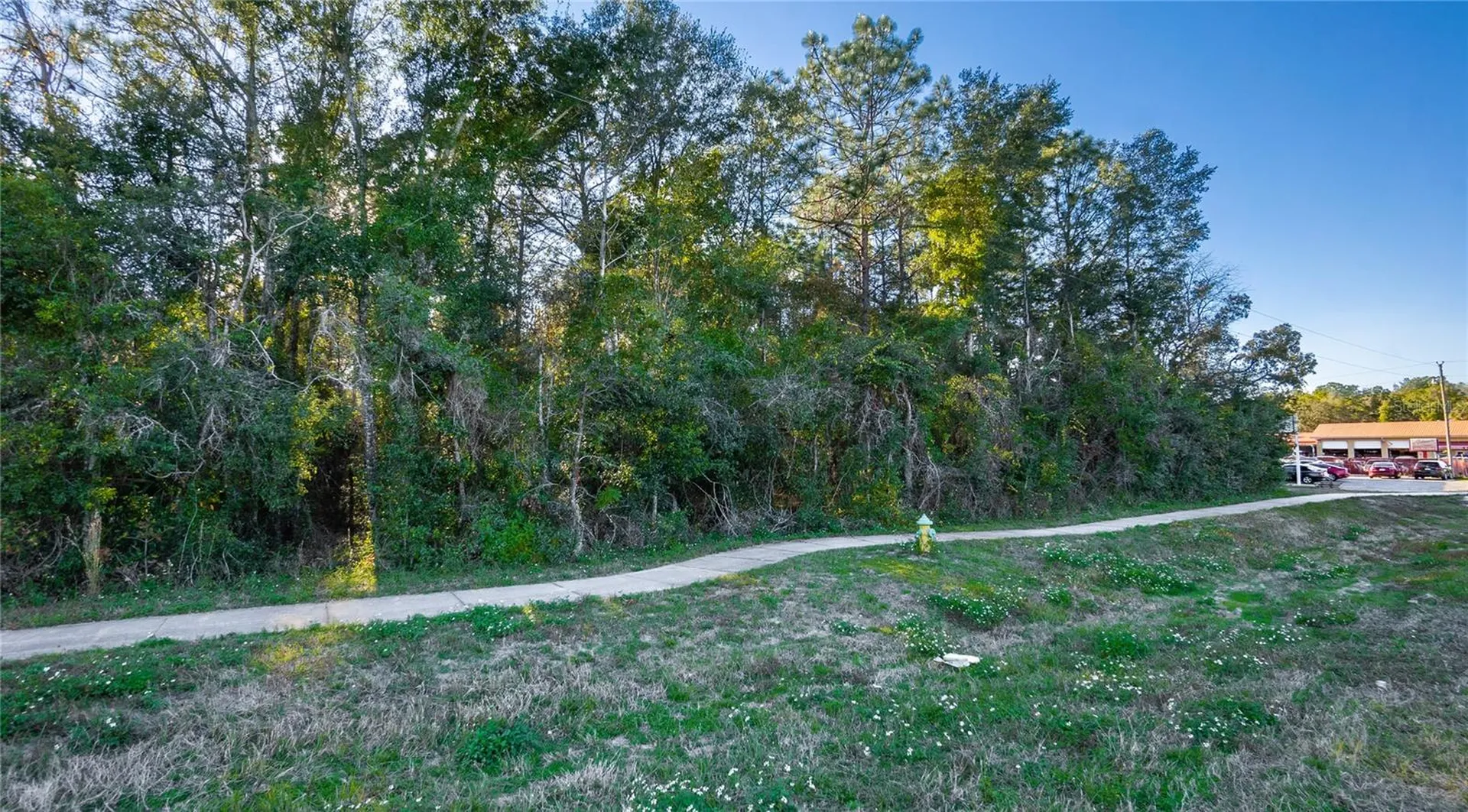 4164 W Gulf To Lake Highway Lecanto FL 34461