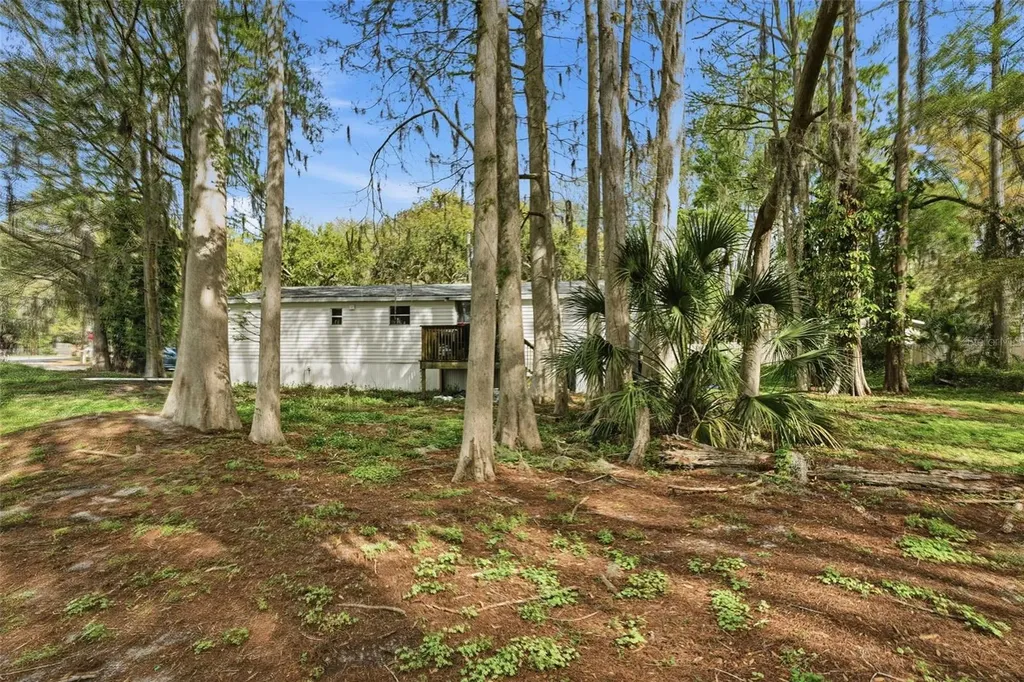 8604 Cameo Drive New Port Richey FL 34654