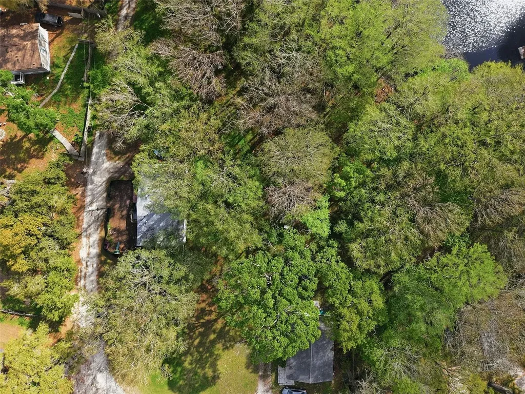 8604 Cameo Drive New Port Richey FL 34654