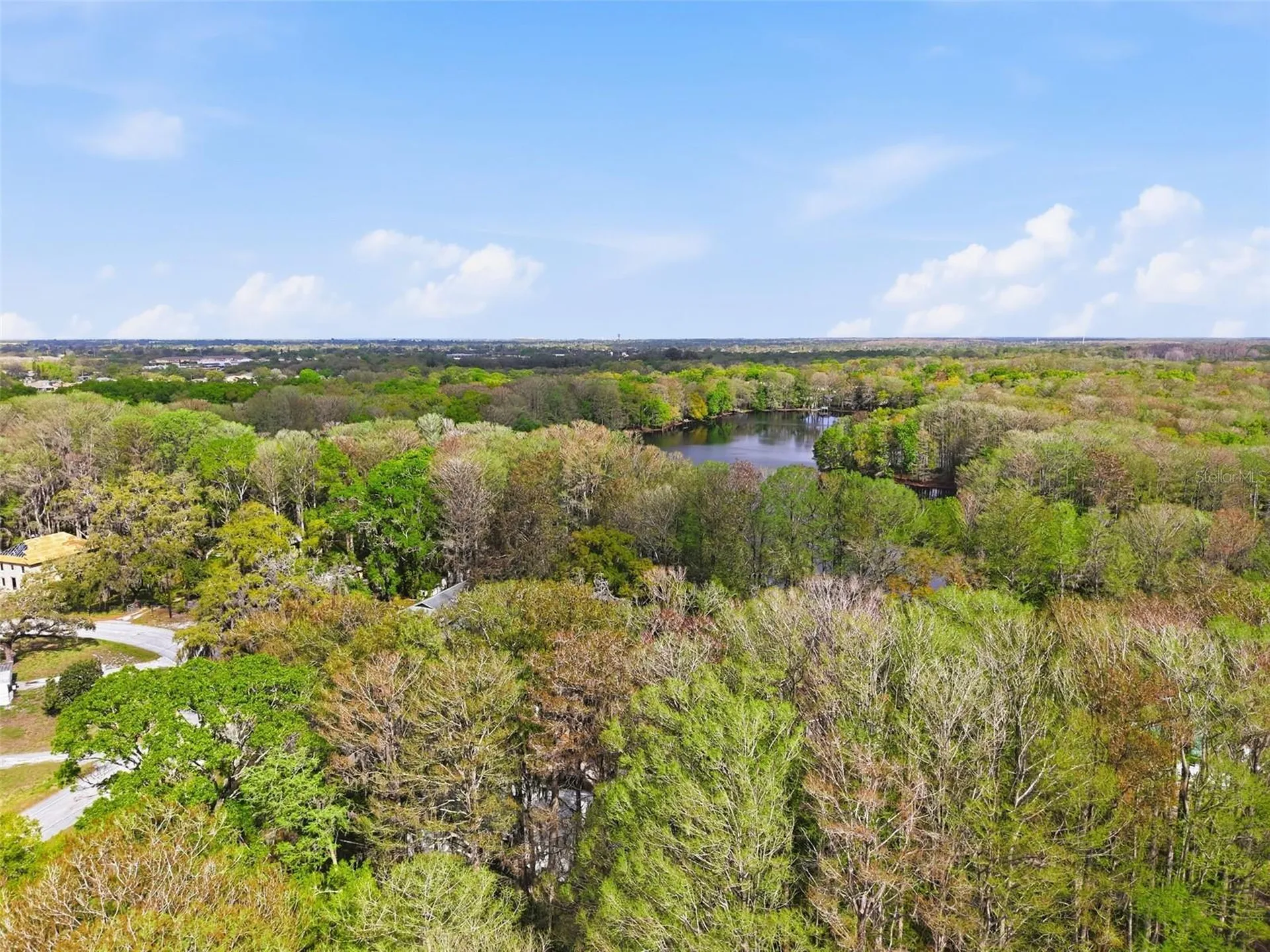 8604 Cameo Drive New Port Richey FL 34654
