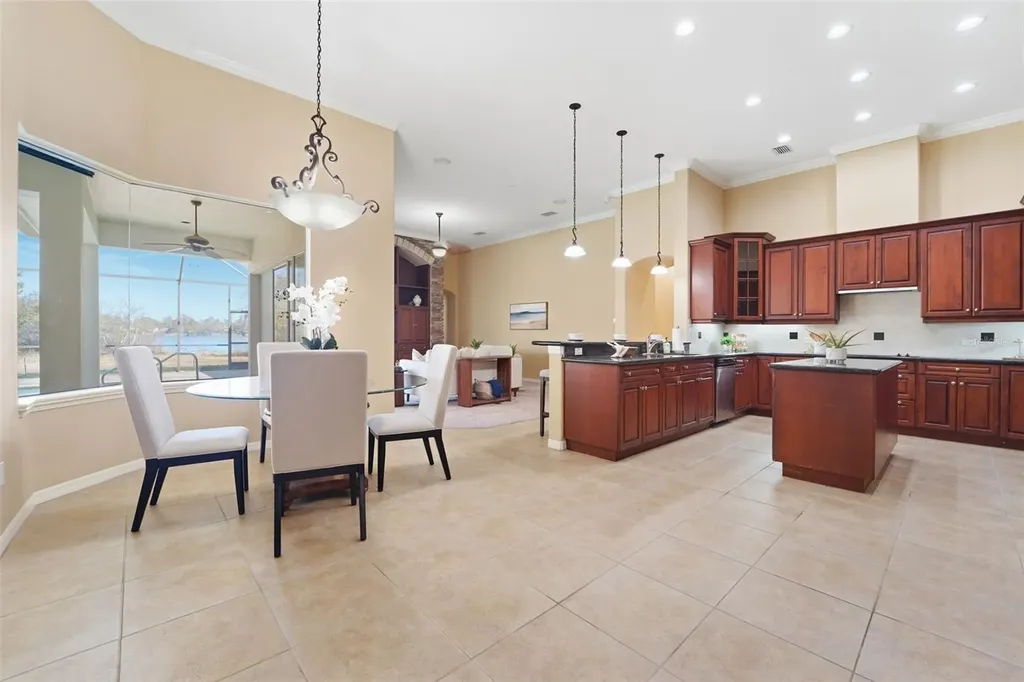 21235 Sky Vista Drive Land O Lakes FL 34637