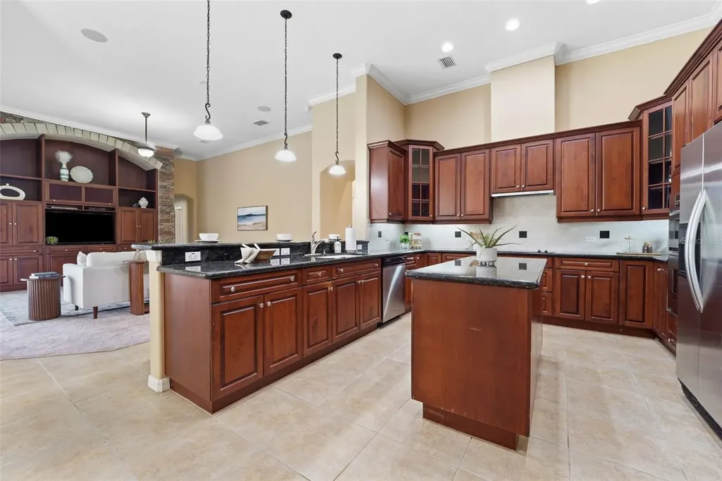 21235 Sky Vista Drive Land O Lakes FL 34637