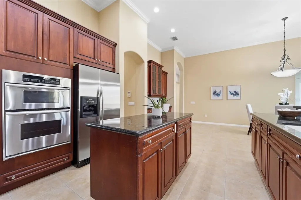 21235 Sky Vista Drive Land O Lakes FL 34637